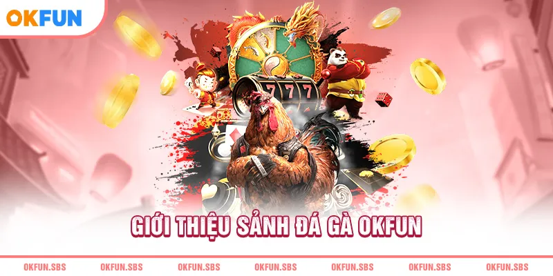 Giới thiệu sảnh đá gà OKFUN